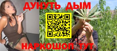 дмт Краснодар