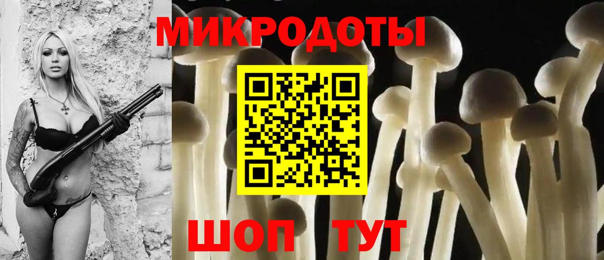 Псилоцибиновые грибы Psilocybine cubensis Кизилюрт